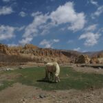 Discover the Enchanting Upper Mustang with Mountain Treks Nepal