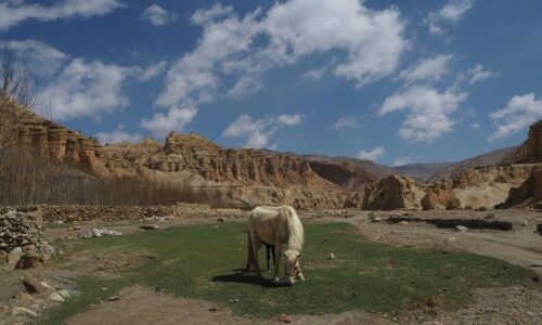 Discover the Enchanting Upper Mustang with Mountain Treks Nepal