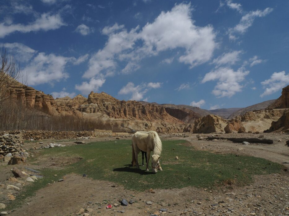 Discover the Enchanting Upper Mustang with Mountain Treks Nepal