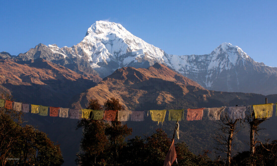 How to Find the Best and Reliable Trekking Agency in Nepal?