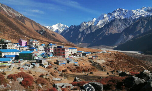 Langtang Valley Trek Guide: Complete Itinerary / Permits & Tips